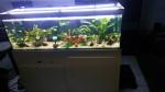 Aquarium 450l complet ou detail - Miniature