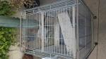 Cage - Miniature