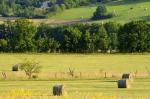 Vacances en gîte rural - Miniature