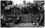 Maison - Miniature