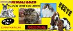 Salont du chiot t du chaton narbonne - Miniature