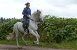 Accessoires ibérique pour équitation - Miniature