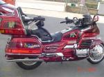 Goldwing - Miniature