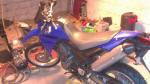 Yamaha yzf r125 bleu - Miniature