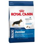 Gros lot de croquette royal canin - Miniature