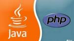 Programmeur java php mysql - Miniature