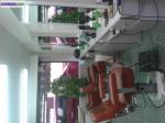 Salon de coiffure - Miniature