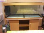Aquarium - Miniature