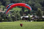 Voile de parapente - Miniature