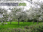 Beautiful building plot for sale in the in french riviera - Miniature