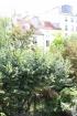 Paris - lovely garden view in saint germain - Miniature