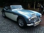 Austin healey 3000 mk2 - Miniature