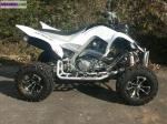 Yamaha 700 raptor homologue - Miniature