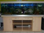 A vendre aquarium rena 600 l et son meuble - Miniature