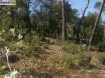 Terrain constructible - Miniature