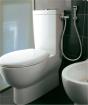 Flexible de toilettes et remplacement de chasse d'eau - Miniature