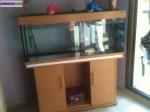 2 superbes aquariums - Miniature